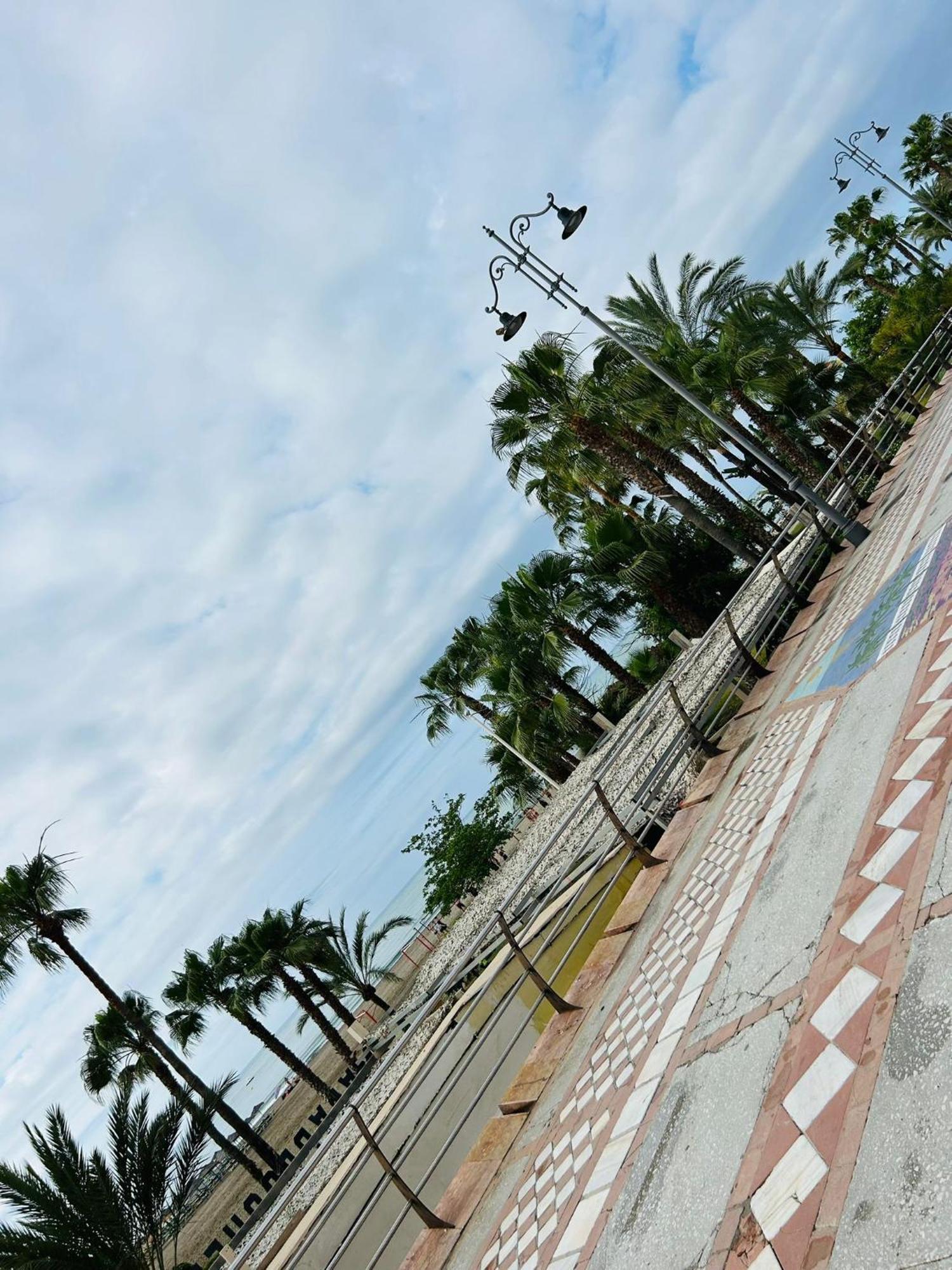 Appartement Beachfront Diana 2
